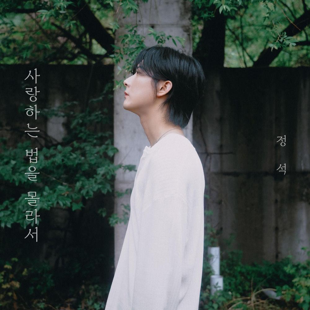 Jungsuk - 사랑하는 법을 몰라서 (I Didn't Know How to Love) cover art on Wallkpop
