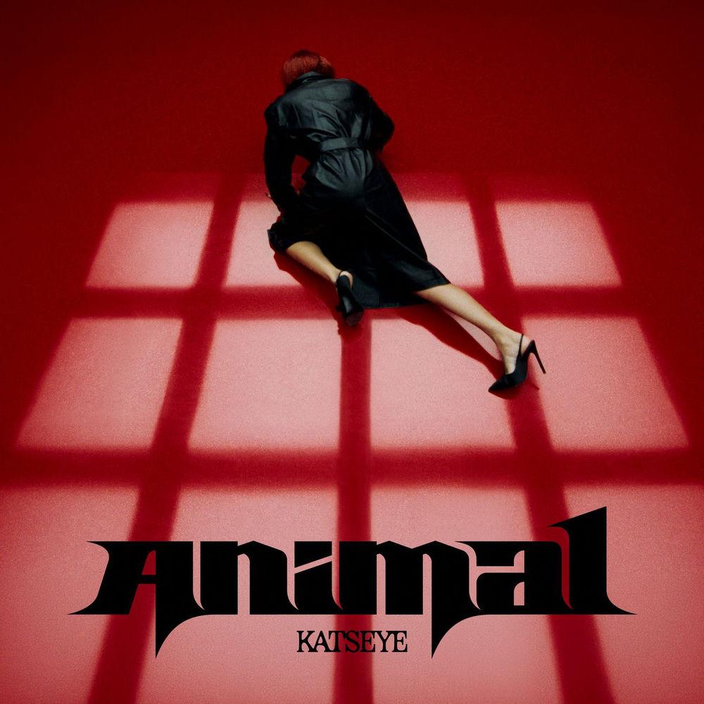 Cover KATSEYE - Animal