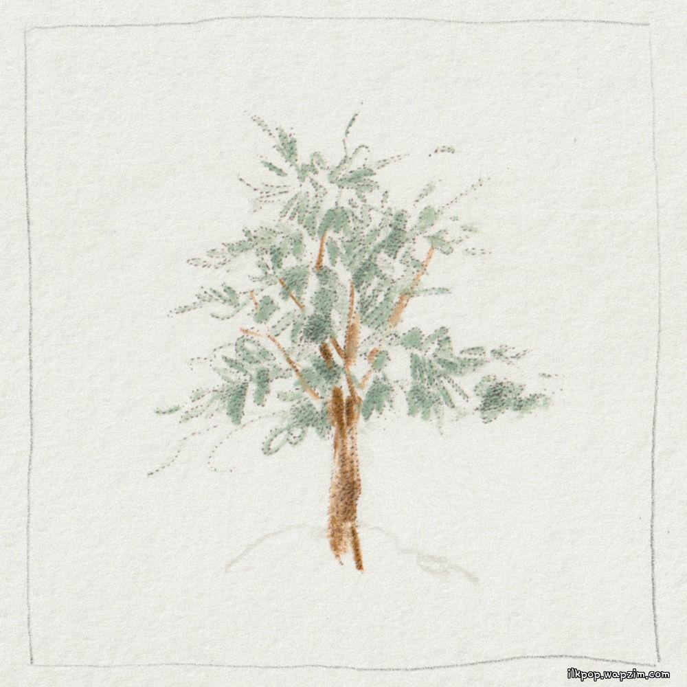 Kim Hyeonsu - 삼나무 (Cedar) cover art on Wallkpop