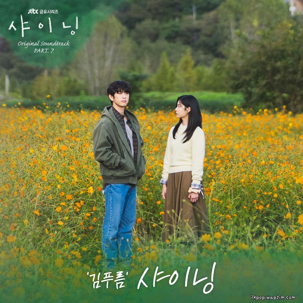 Kim Pureum - 샤이닝 (Shining) cover art on Wallkpop