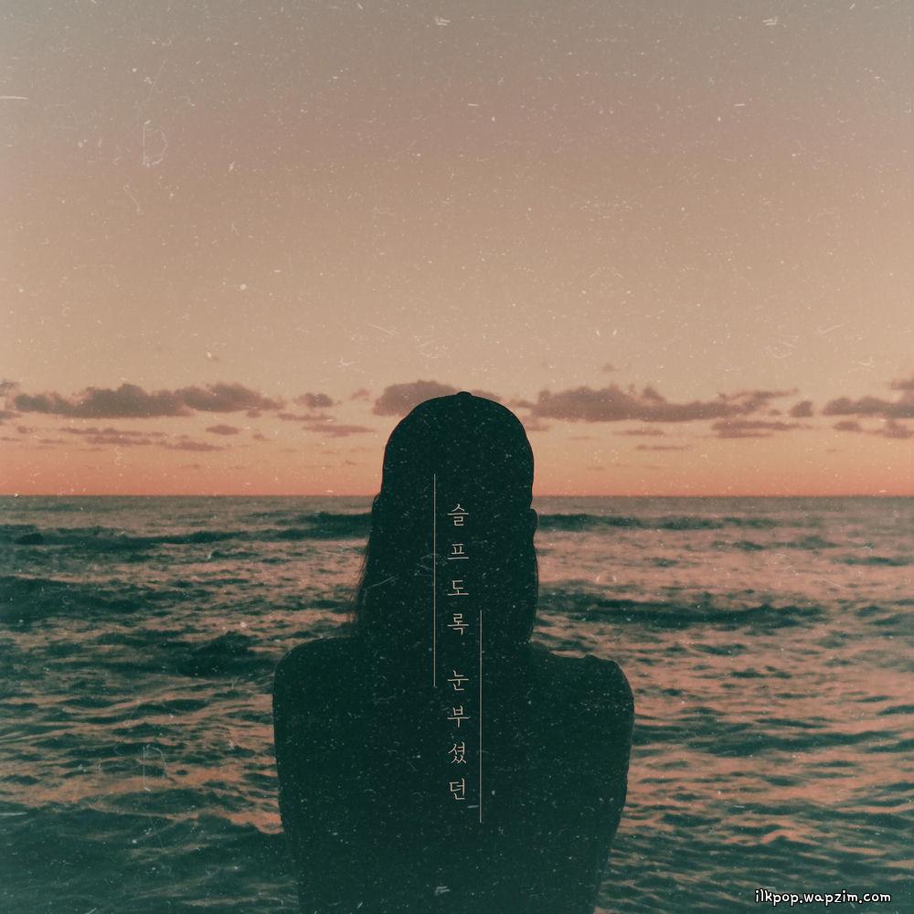 KIM YO BI - 슬프도록 눈부셨던 (Blinded) (feat. Kim Nam Yun) cover art on Wallkpop