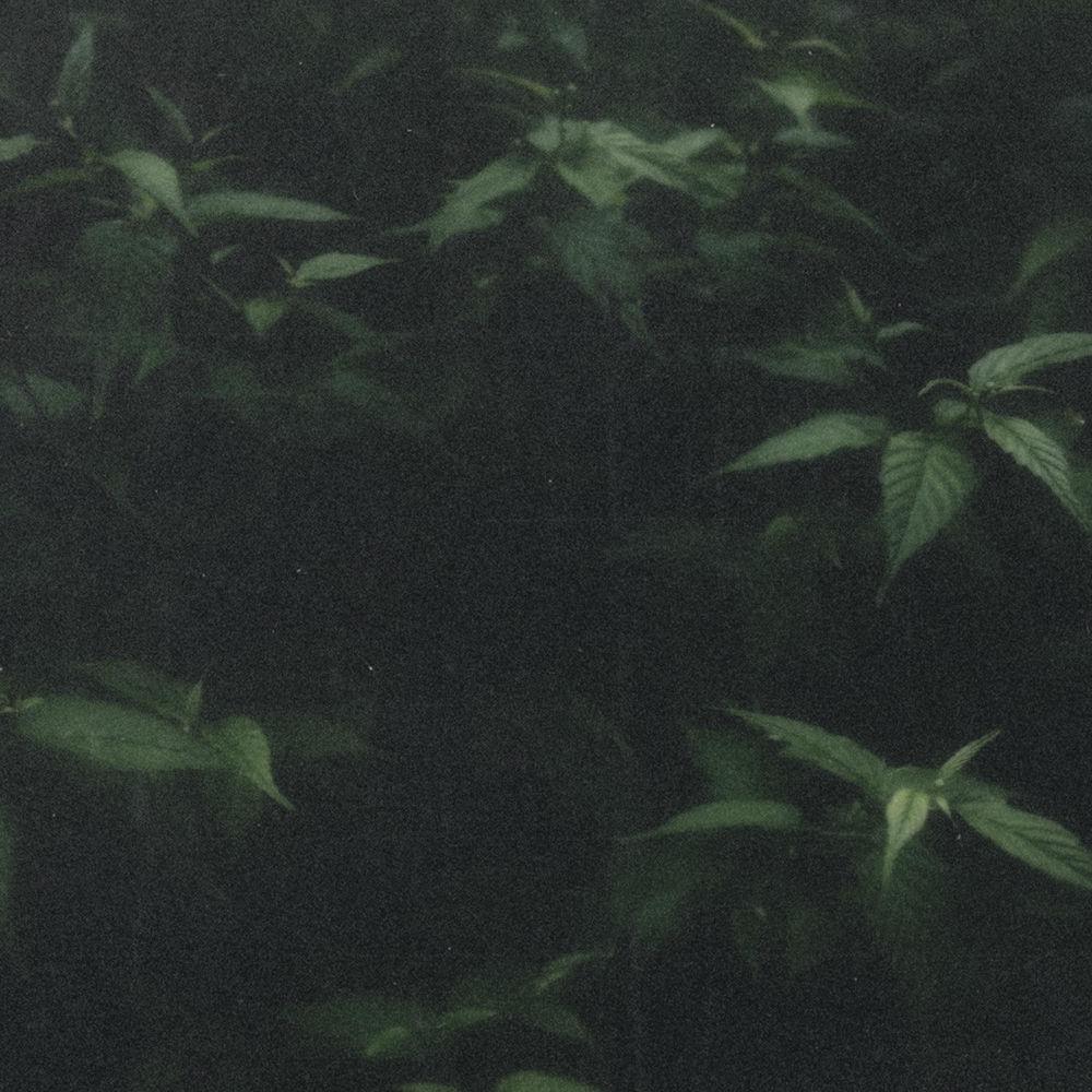 KYUL - 멀리 (Far) cover art on Wallkpop