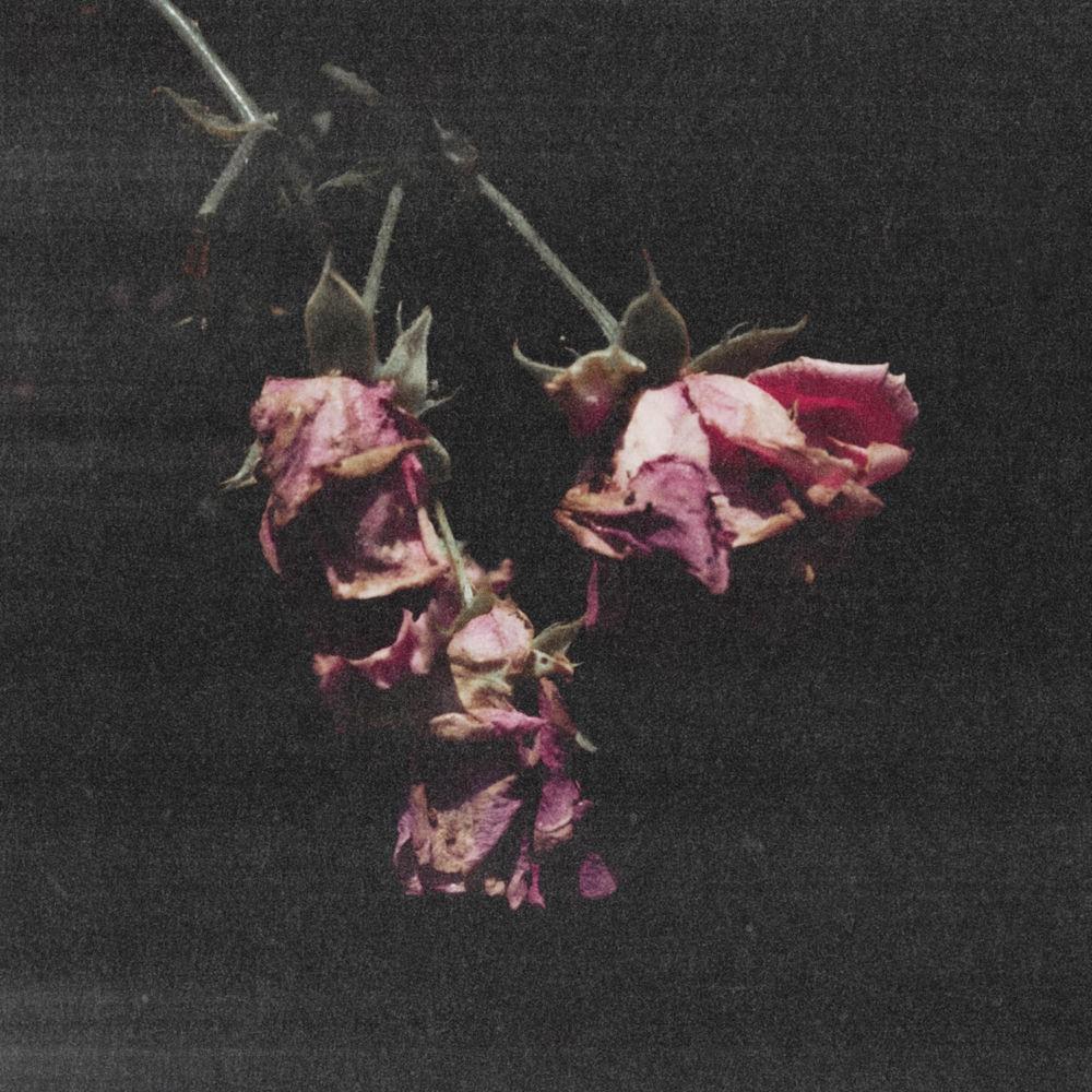 KYUL - 영원히 꿈 (Forever Dreaming) cover art on Wallkpop
