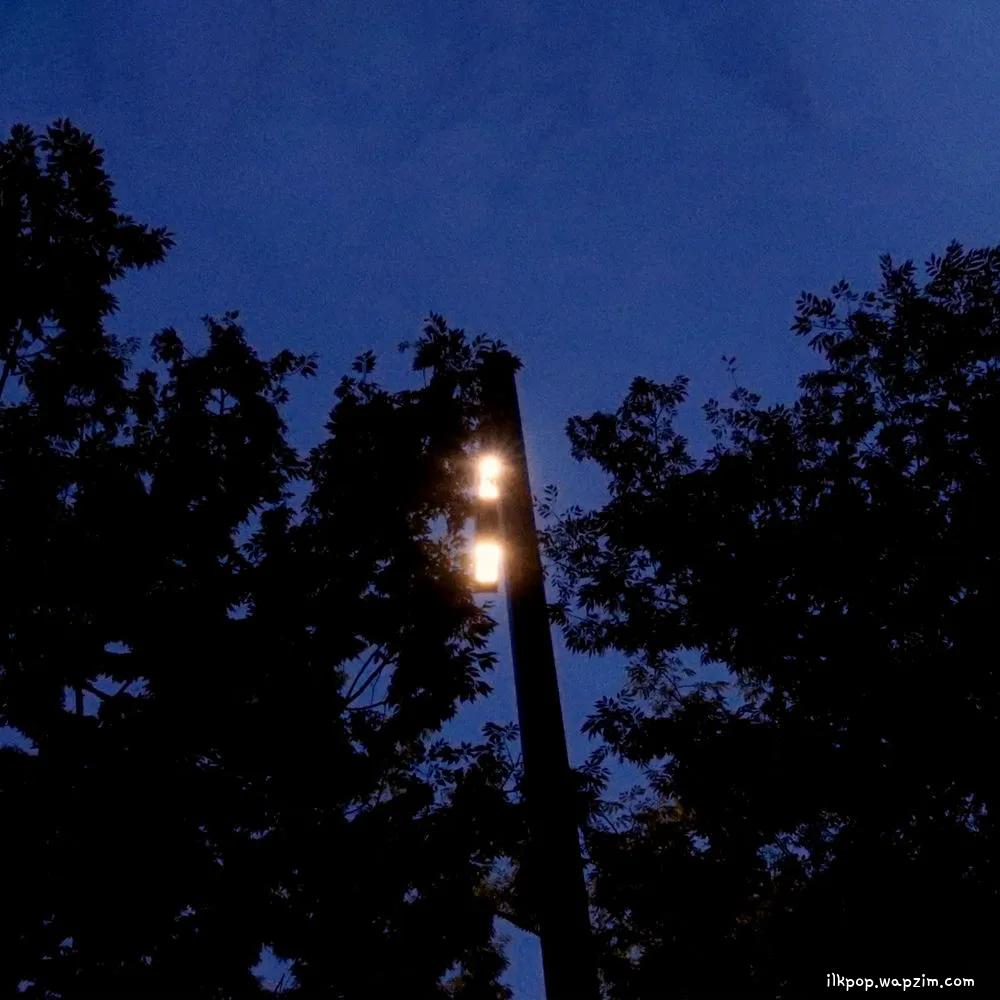 KYUL - 너 없이 시작, 너 없이 끝 (Without You) cover art on Wallkpop