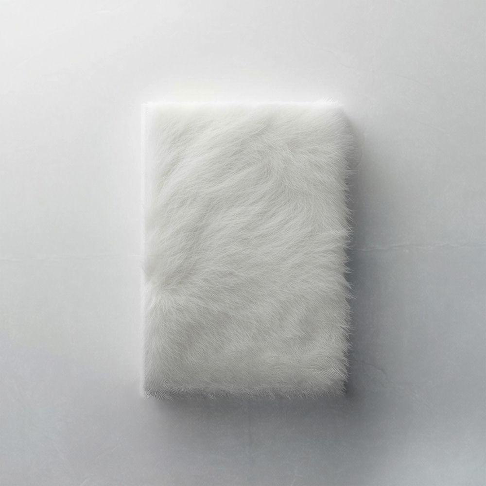 Lee Byeong Chan - 빛의 문 (Open The Light) cover art on Wallkpop