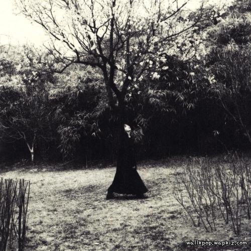 Lee Seol Ah - 언어도단 (Beyond Words) (feat. HONK) cover art on Wallkpop