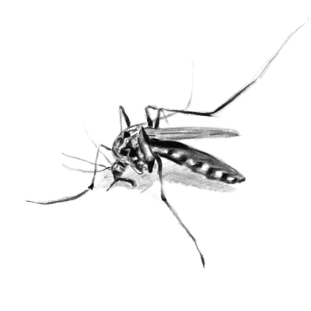 LeeDock - MosQUITo cover art on Wallkpop