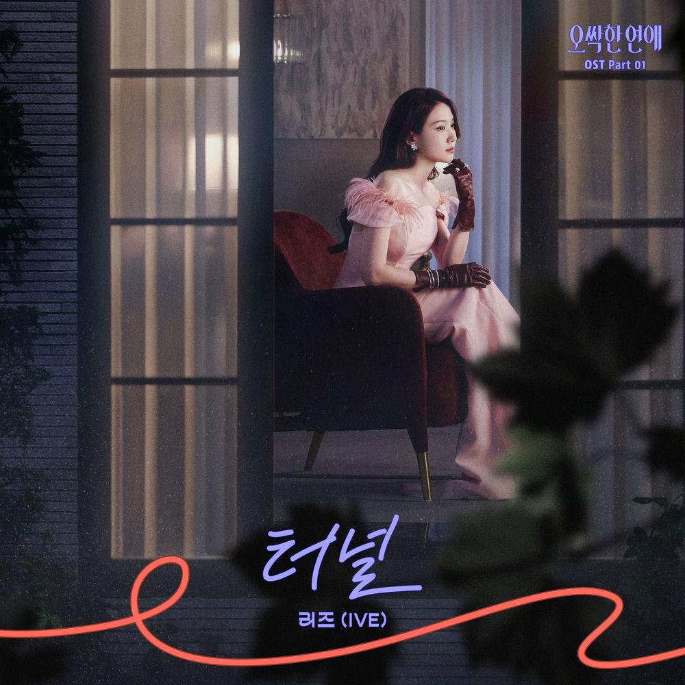 LIZ (IVE) - 터널 (Tunnel) cover art on Wallkpop