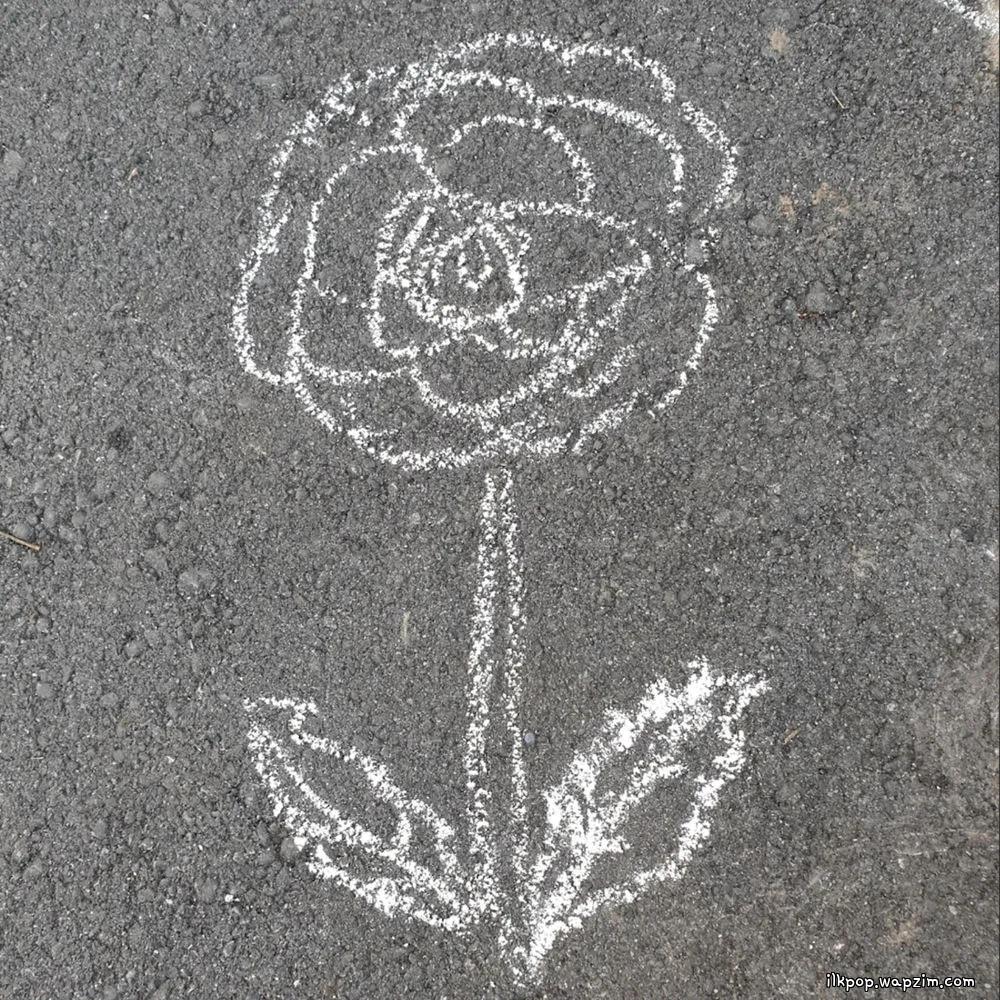 Machiavelli - Chrysanthemum (菊花) cover art on Wallkpop