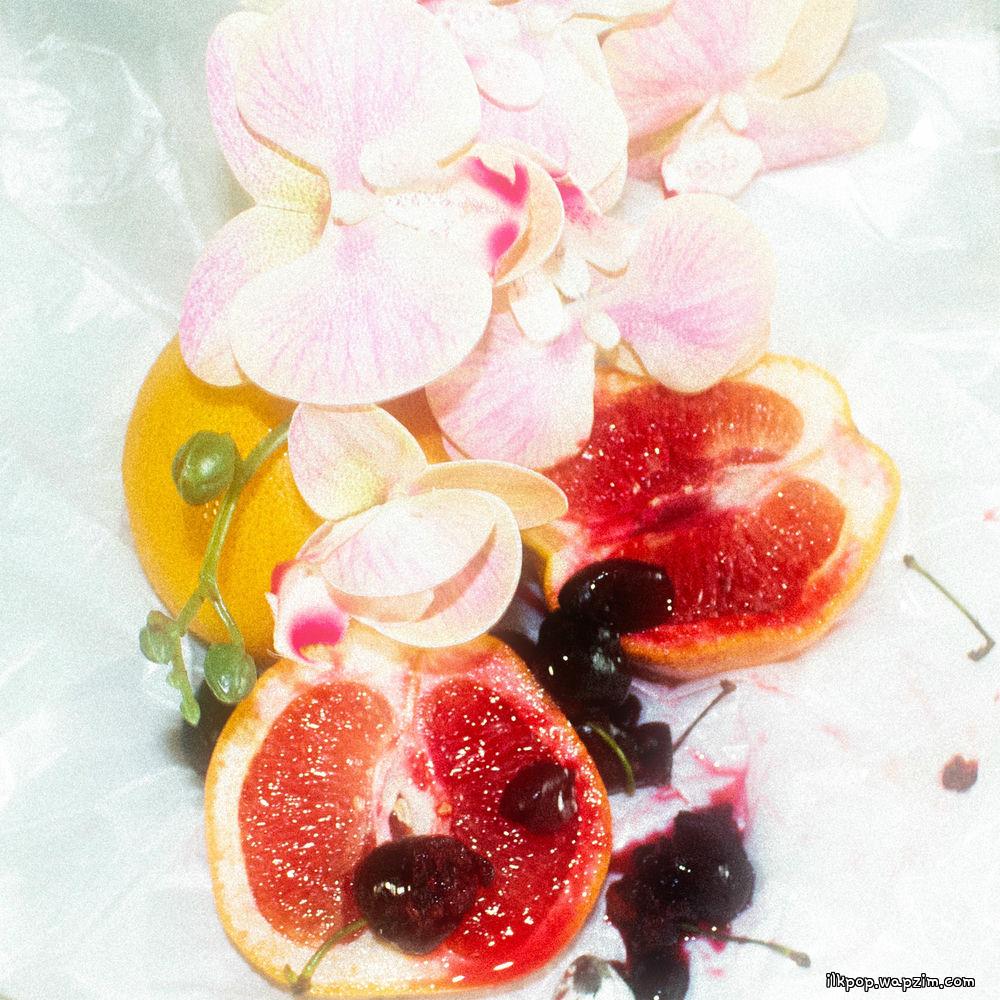 MADDYXP - grapefruit cover art on Wallkpop
