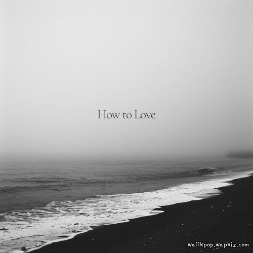 Manny & Jhunnit - How to Love cover art on Wallkpop
