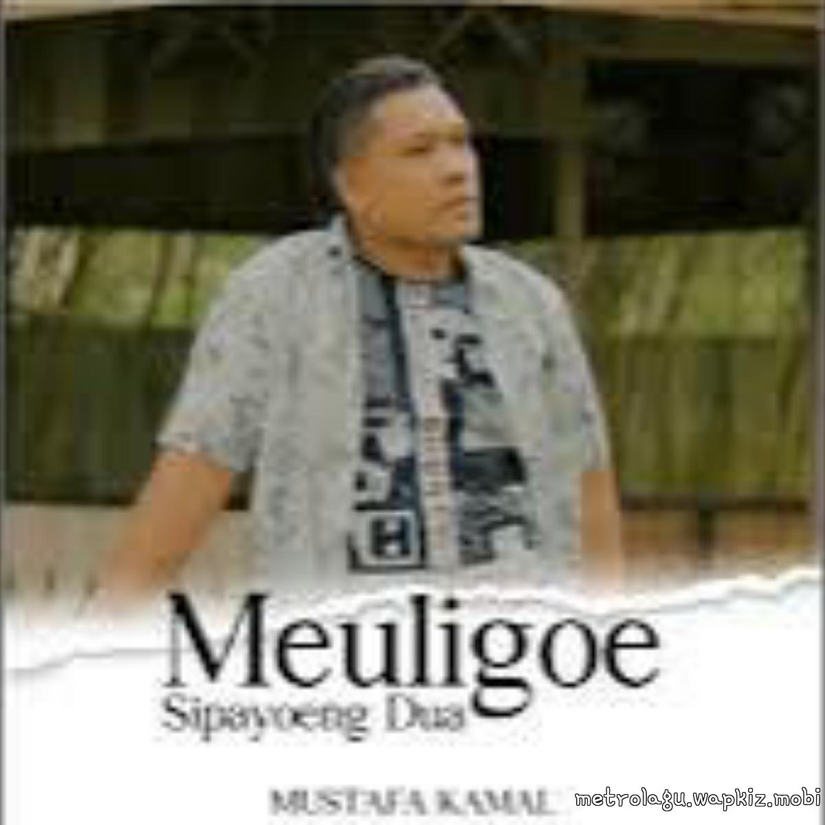 Mustafa Kamal - Meuligoe Sipayong Dua cover art on Wallkpop