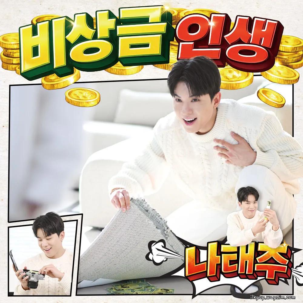 NA TAE JOO - 비상금 인생 cover art on Wallkpop