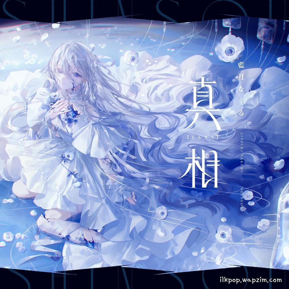Nakuru Aitsuki - Shinsou cover art on Wallkpop