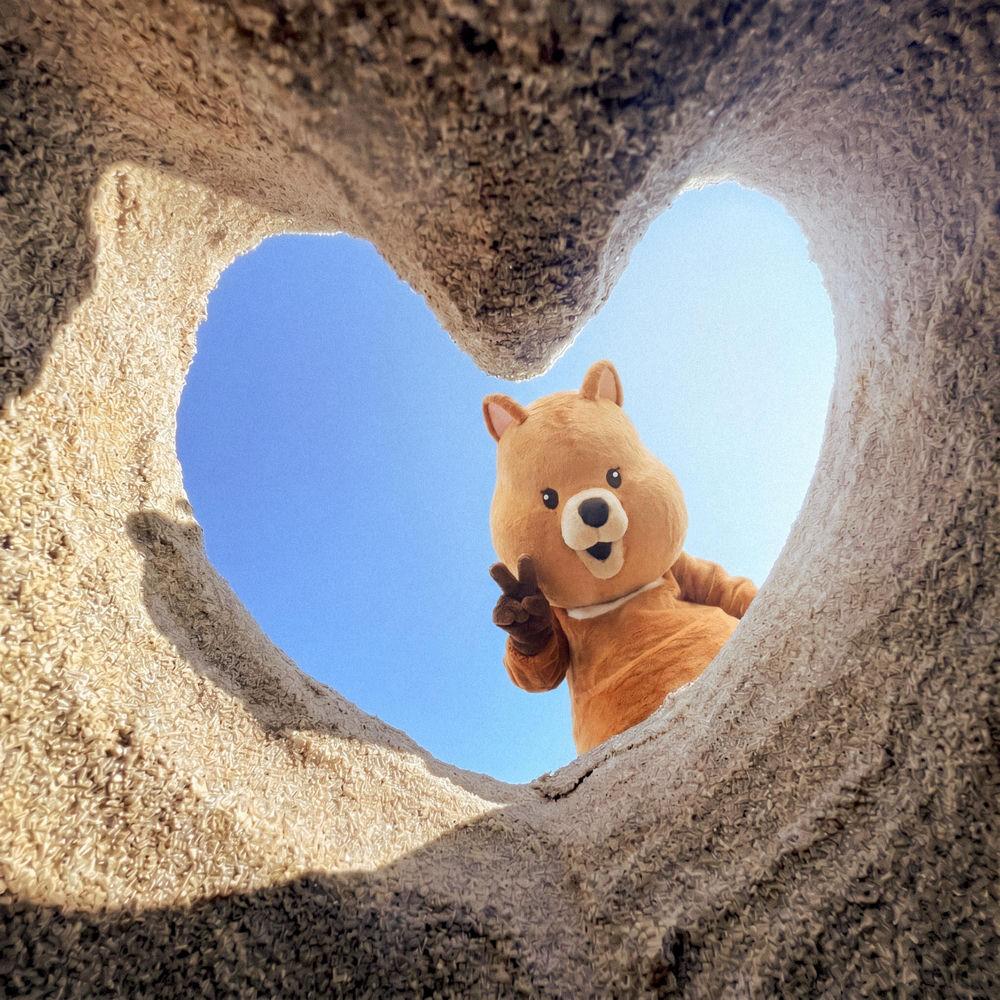 NavyQuokka - summertime cover art on Wallkpop