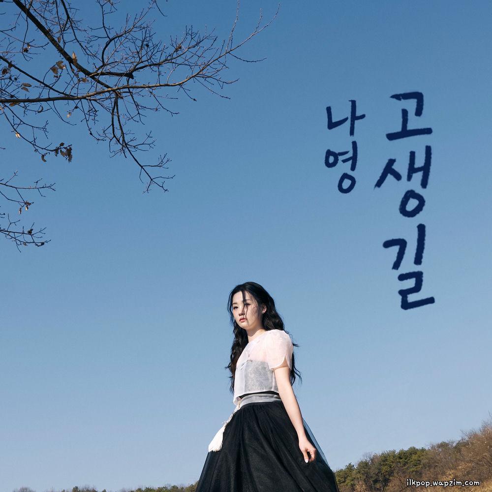 Nayoung - 고생길 (Hard Life) cover art on Wallkpop