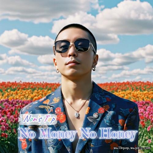 Nons Top - No money No honey cover art on Wallkpop