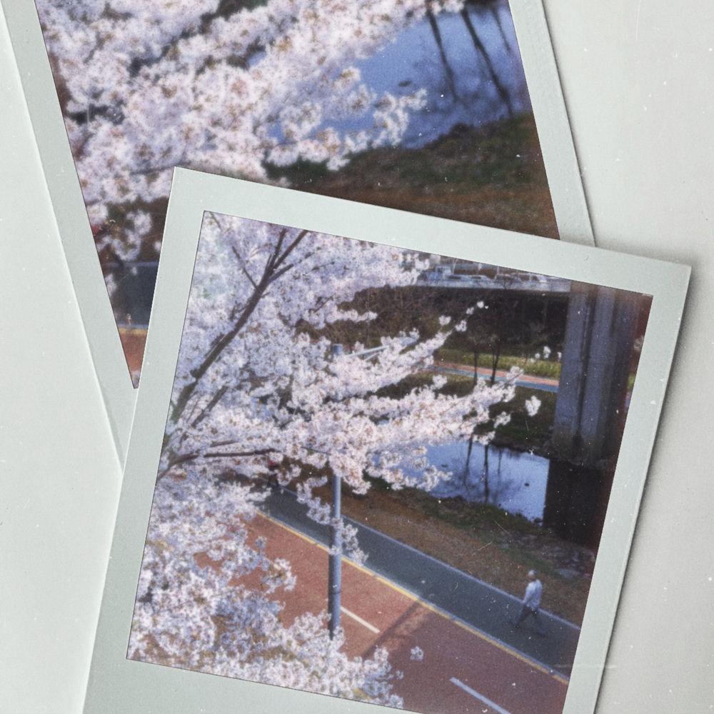 ONDA - 왜 자꾸 생각나 (Swoon) (Feat. seoseo) cover art on Wallkpop