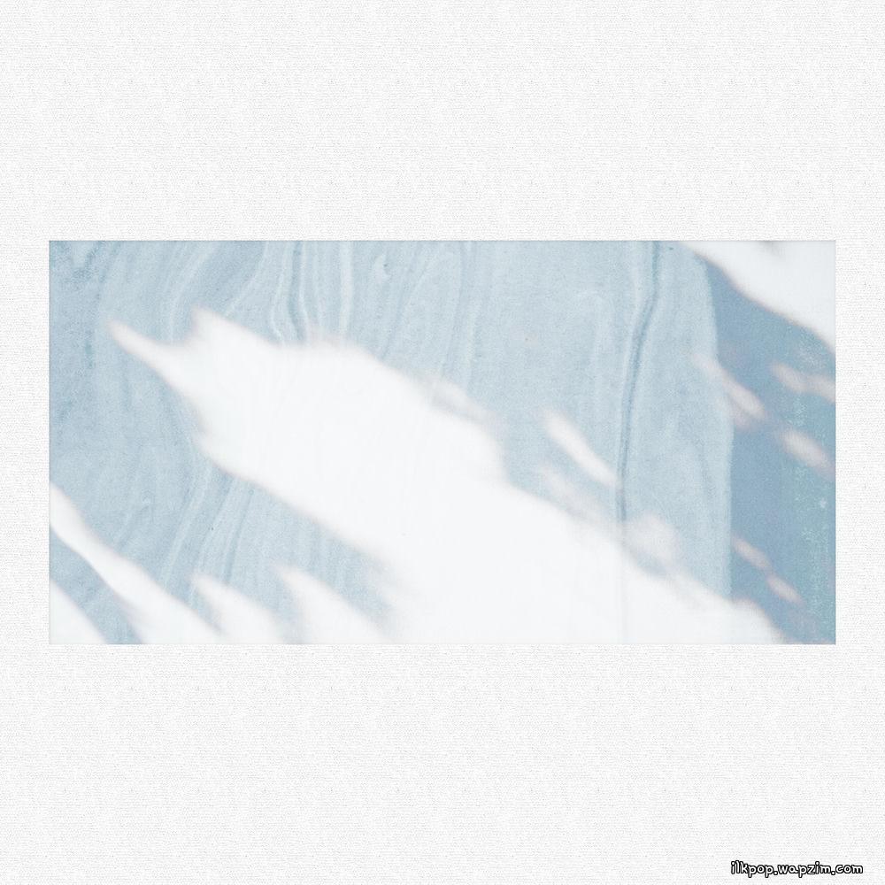 OWALLOIL - Leaves cover art on Wallkpop
