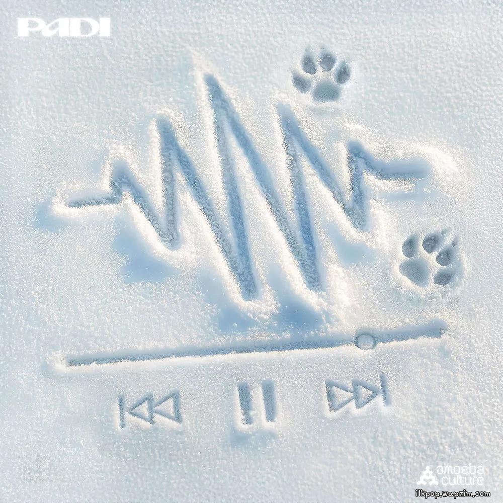 Padi - 지우개 (Eraser) (Feat. Kidd King, YongYong) cover art on Wallkpop