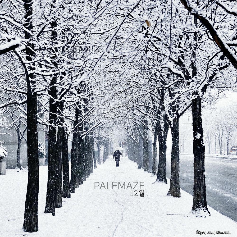 PALE MAZE - 12월 (December) cover art on Wallkpop