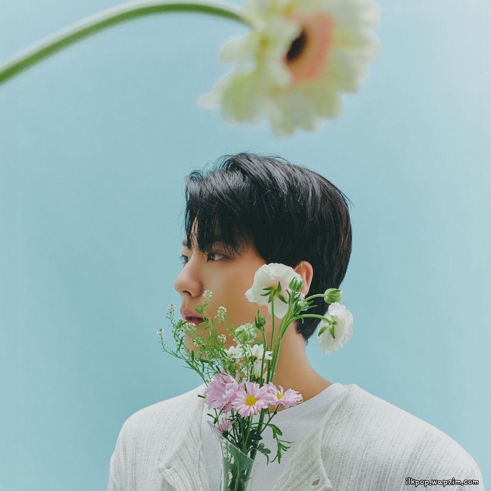 Park Je Up - 사랑인거죠 (Love is here) cover art on Wallkpop