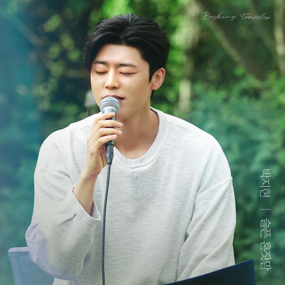 Park Ji Hyeon - 슬픈 혼잣말 (Sad monologue) cover art on Wallkpop