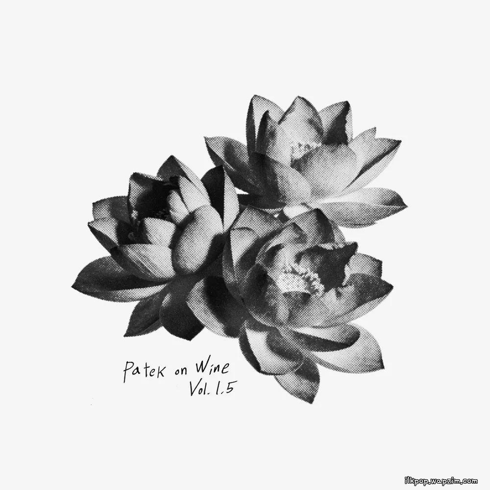PATEKO & kid wine - 흩날린다 (Drifting) cover art on Wallkpop