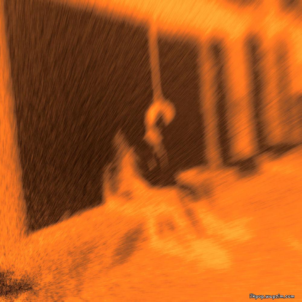 pedlar - All Day cover art on Wallkpop