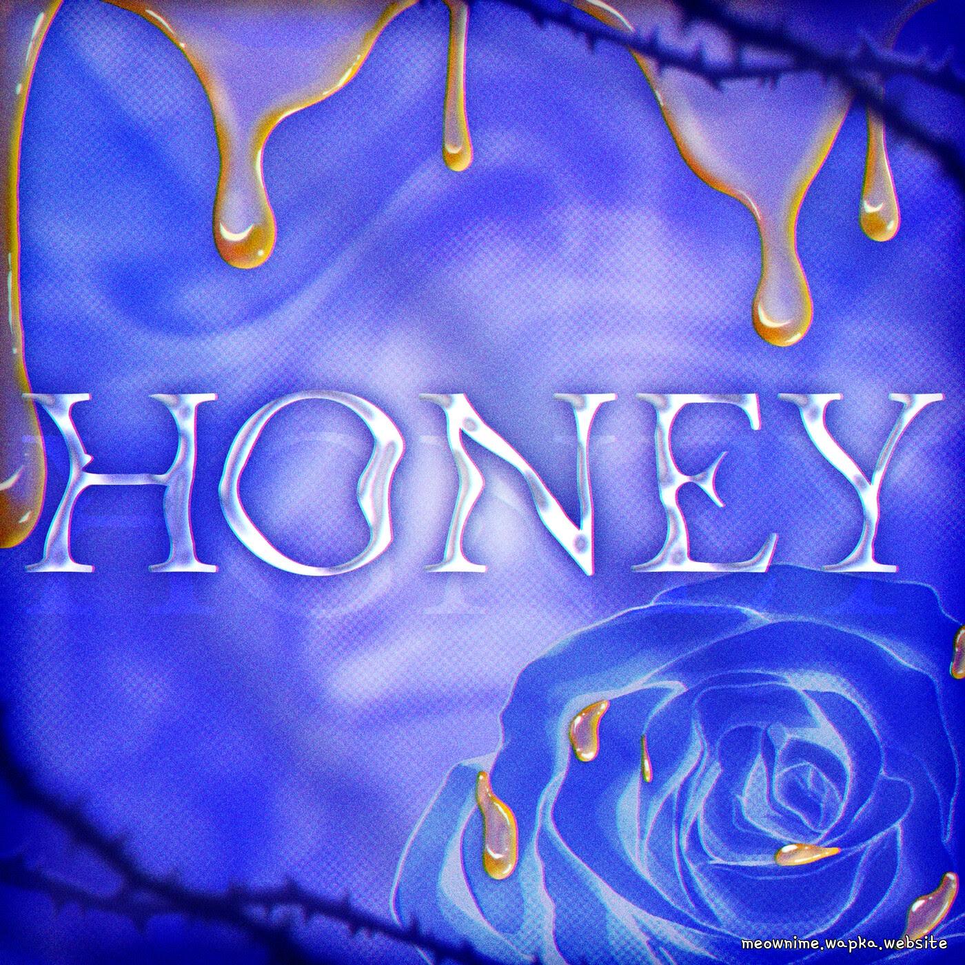 Roselia - HONEY (Cover) [Theme Song BanG Dream!] cover art on Wallkpop