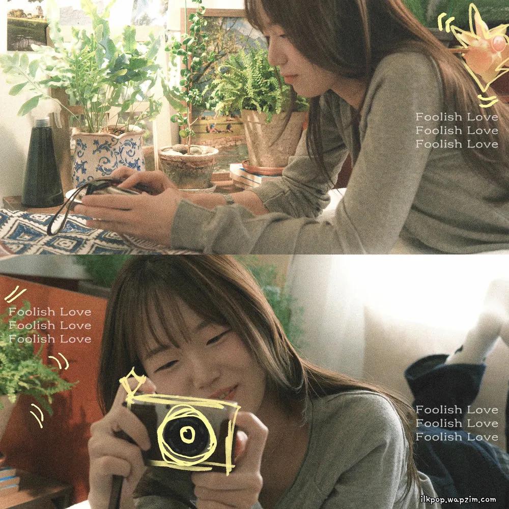 Ryu Hwajeong - Foolish Love cover art on Wallkpop