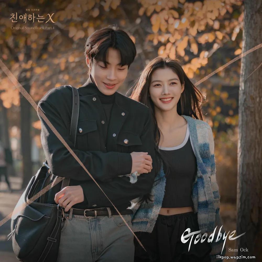 Sam Ock - Goodbye cover art on Wallkpop