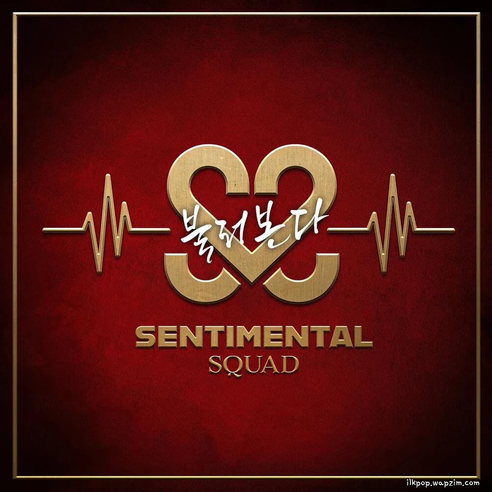 Sentimental Squad - 불러본다 (Calling You) cover art on Wallkpop
