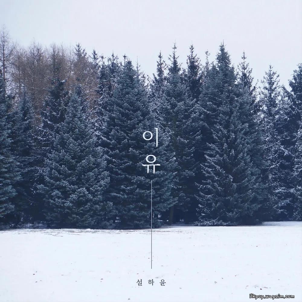 Seol Ha Yoon - 이유 (Reason) cover art on Wallkpop