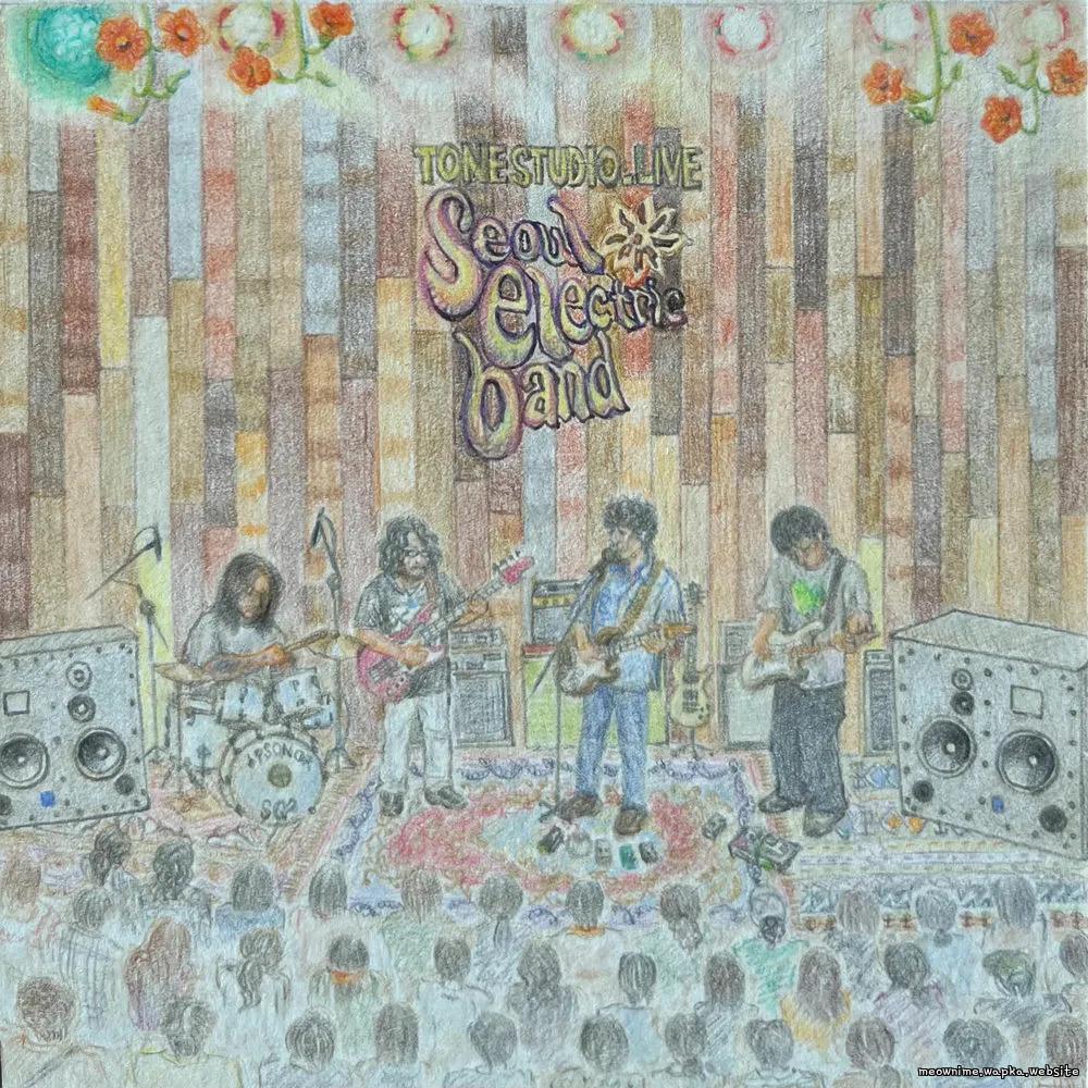 Seoul Electric Band - 따라가면 좋겠네 (Wish to follow) (Live) cover art on Wallkpop