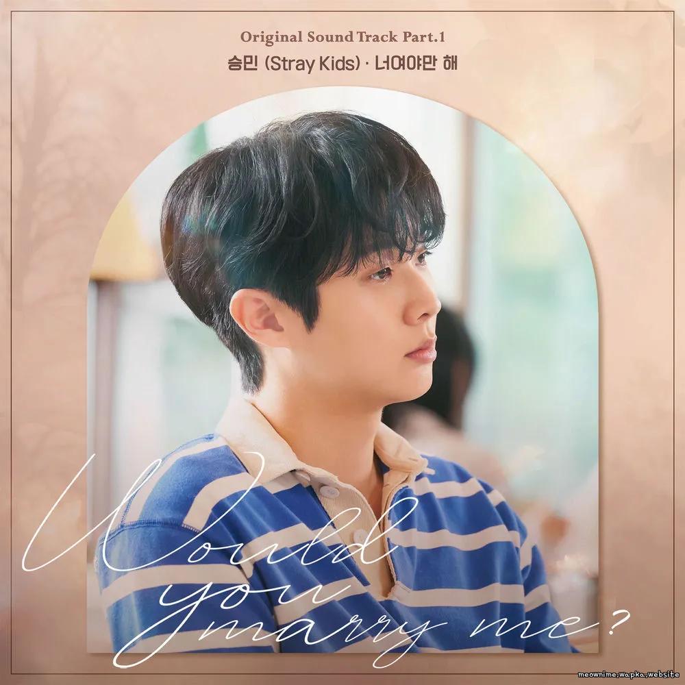 Seungmin (Stray Kids) - 너여야만 해 (All I Want Is You) cover art on Wallkpop