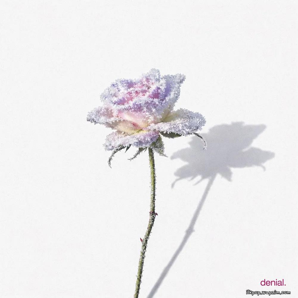 shaltt - denial cover art on Wallkpop