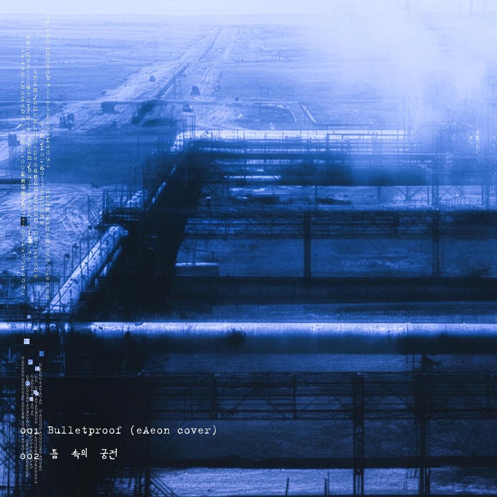 Shin Hae Gyeong - 틈 속의 궁전 (The Palace Within the Gap) cover art on Wallkpop