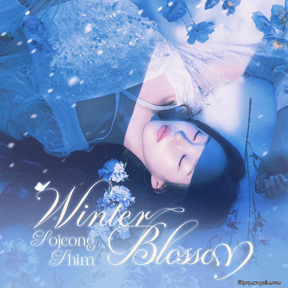 So Jeong Shim - Winter Blossom cover art on Wallkpop