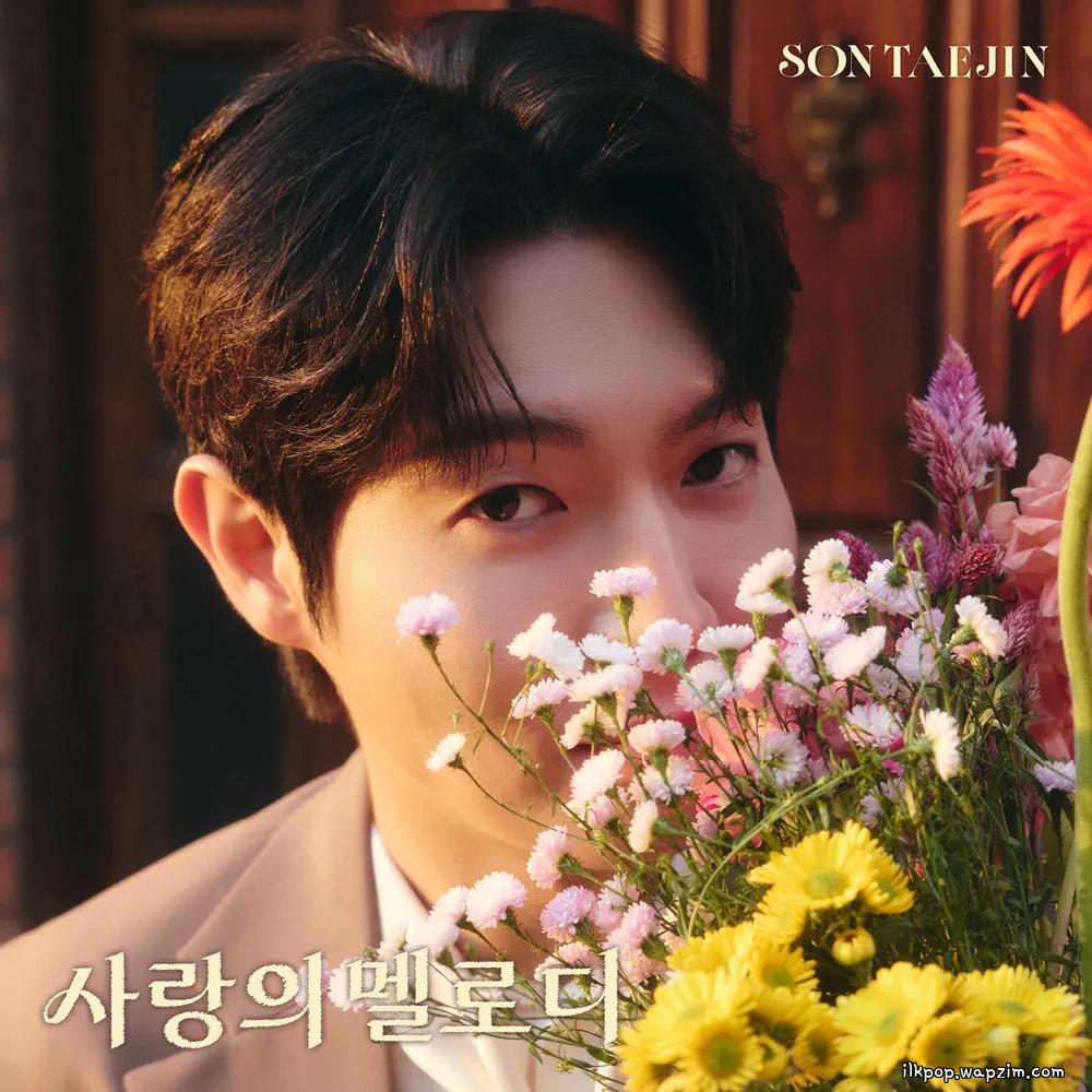 Son Tae Jin - 사랑의 멜로디 (Melody of Love) cover art on Wallkpop