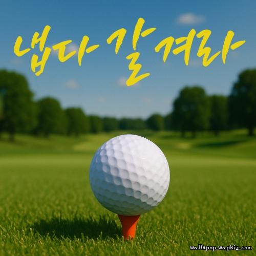 Song Pro - 냅다 갈겨라 (Hit It Hard) cover art on Wallkpop