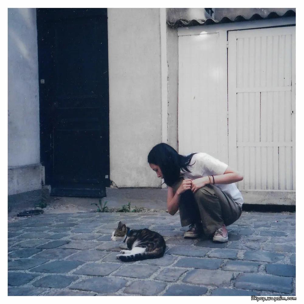 Sorri - 고양이와 춤을 (Dance With The Cat) cover art on Wallkpop