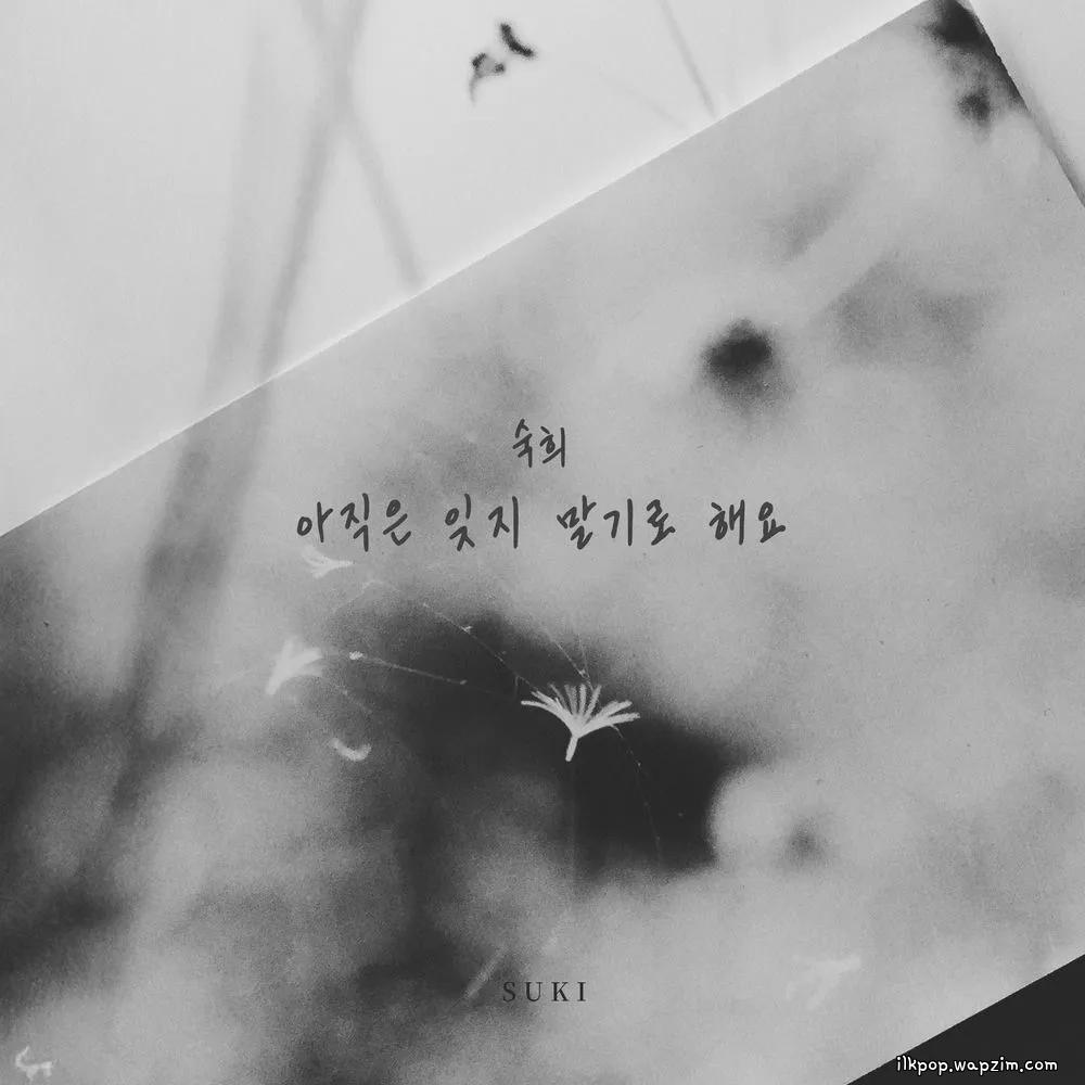 Suki - 아직은 잊지 말기로 해요 (Let's Not Forget) cover art on Wallkpop