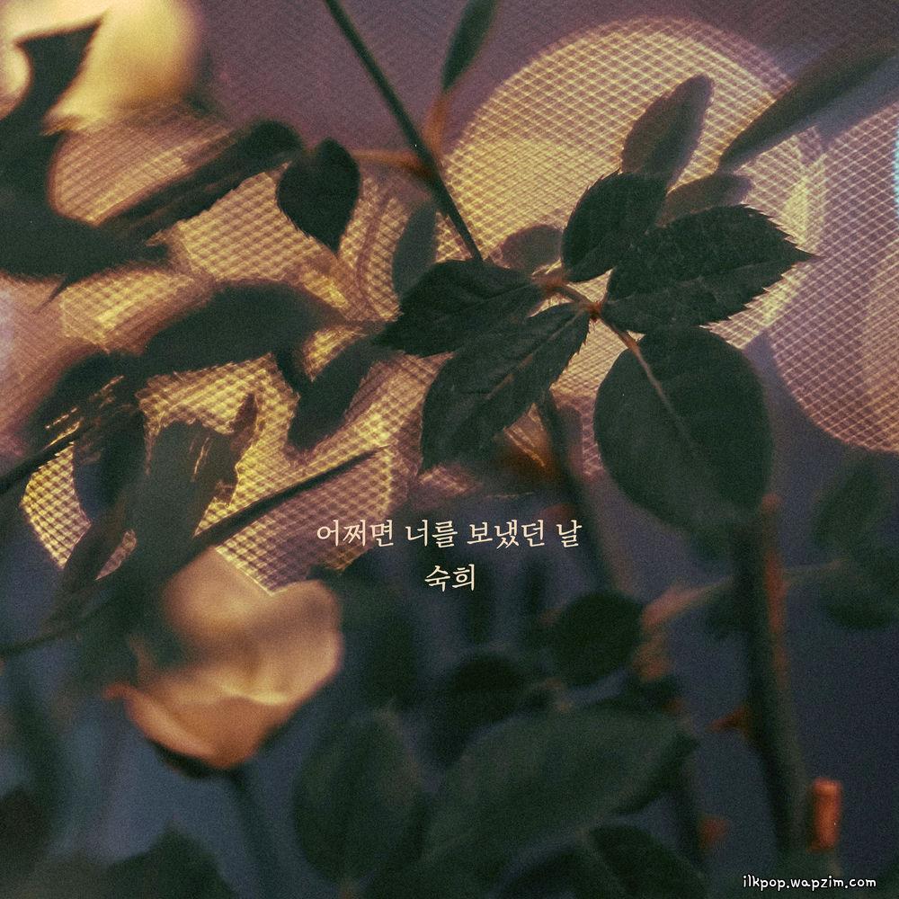 Suki - 어쩌면 너를 보냈던 날 (Maybe the day I let you go) cover art on Wallkpop