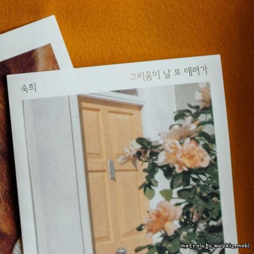 Suki - 그리움이 날 또 데려가 cover art on Wallkpop