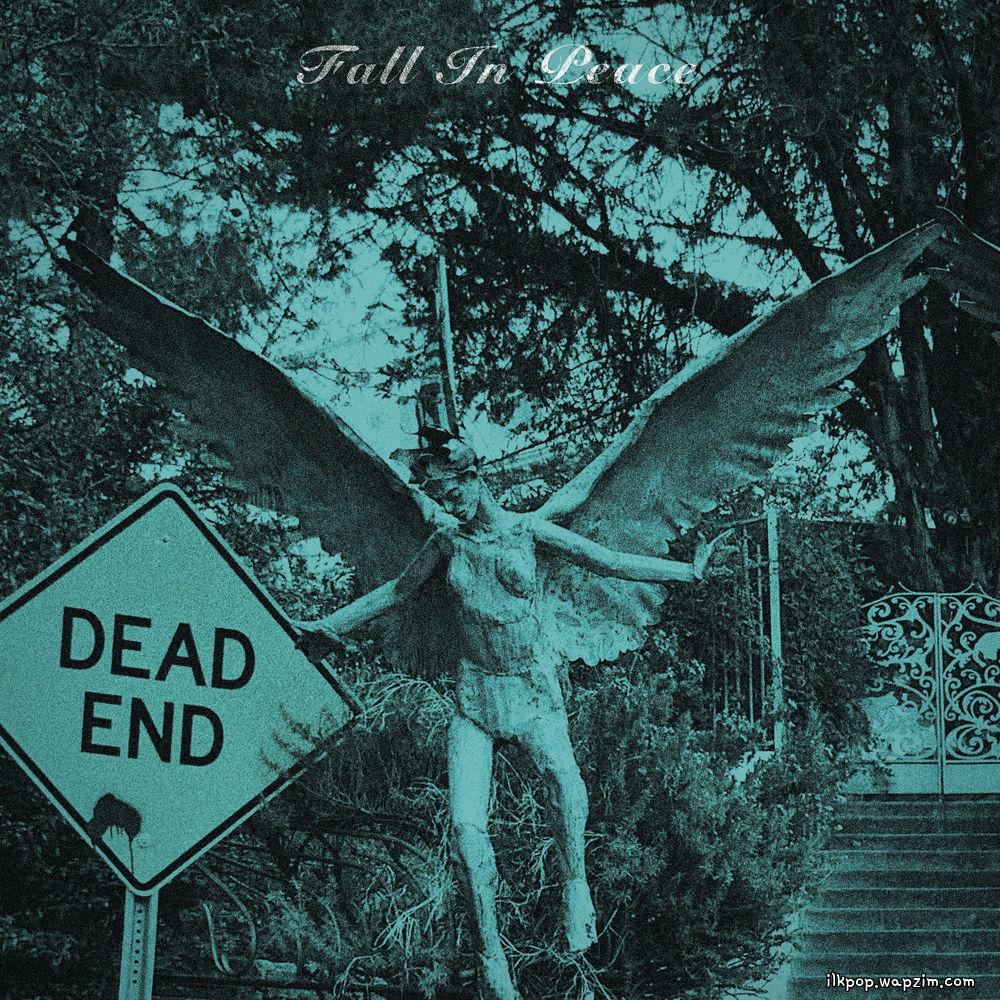Super Joy Club - Fall In Peace cover art on Wallkpop
