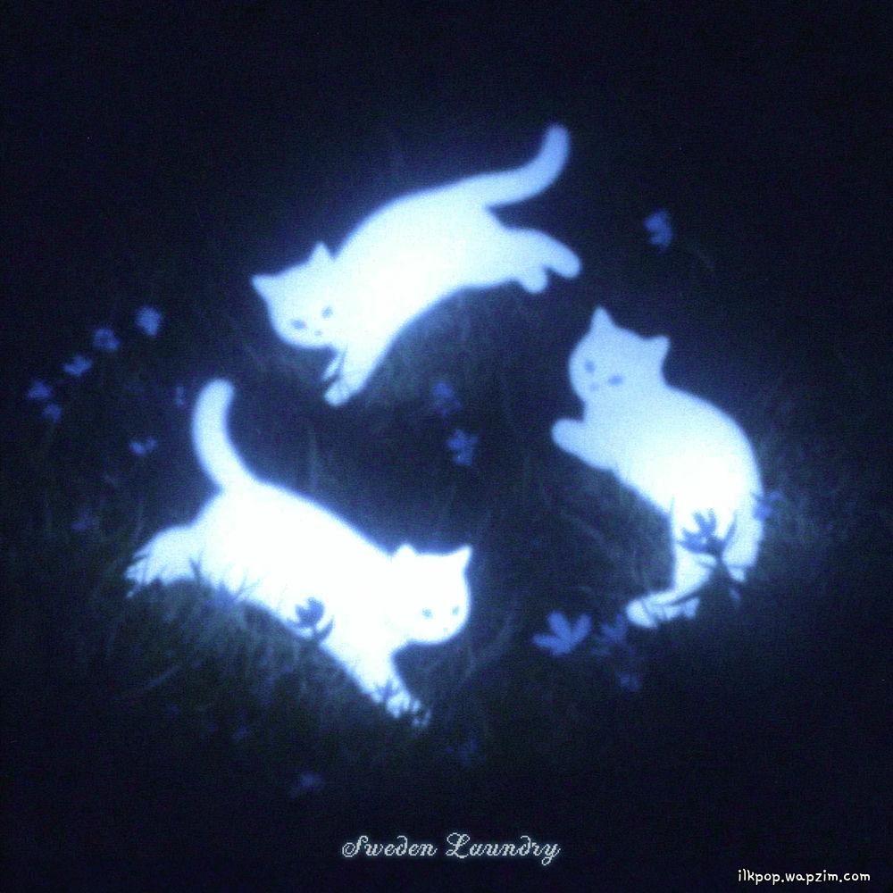 Sweden Laundry - 영영 (forevermore) cover art on Wallkpop