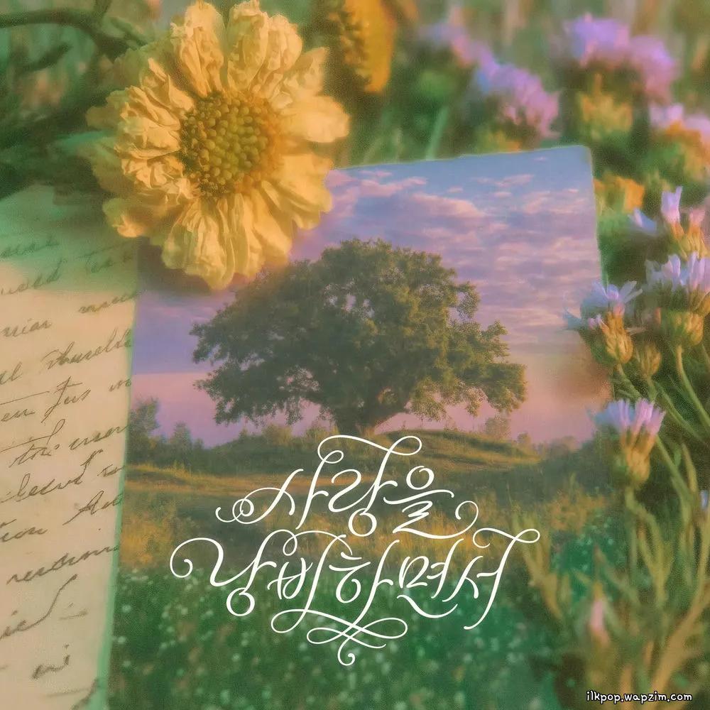 Sweden Laundry - 사랑을 낭비하면서 (Wasting Love) cover art on Wallkpop