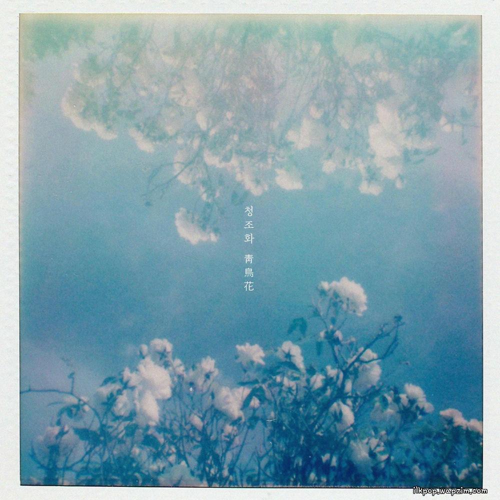 swing & CHOI - 청조화 靑鳥花 (The Blue Bird Flower) cover art on Wallkpop