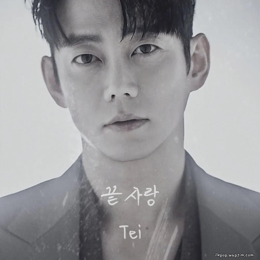 Tei - 끝사랑 (Last Love) cover art on Wallkpop